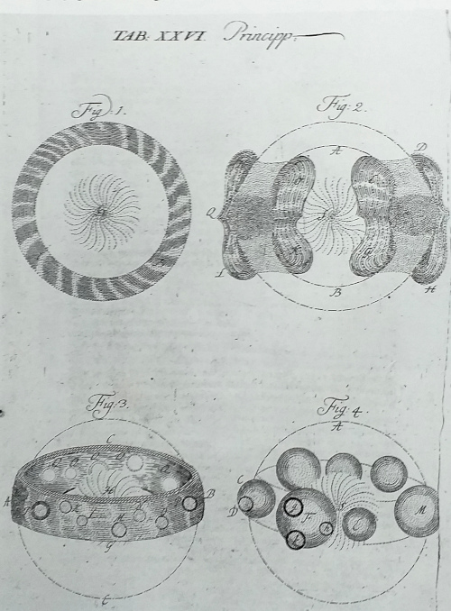 Swedenborg - Prodromus Principiorum...