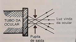 Pupila de sada