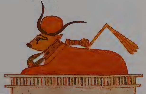 Apis