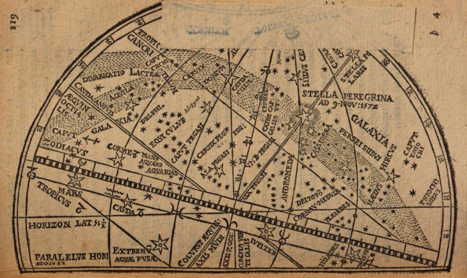 Cornelius Gemma, Stella Peregrina